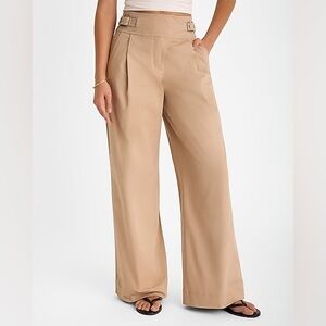 Express Tan Wide Leg Pants